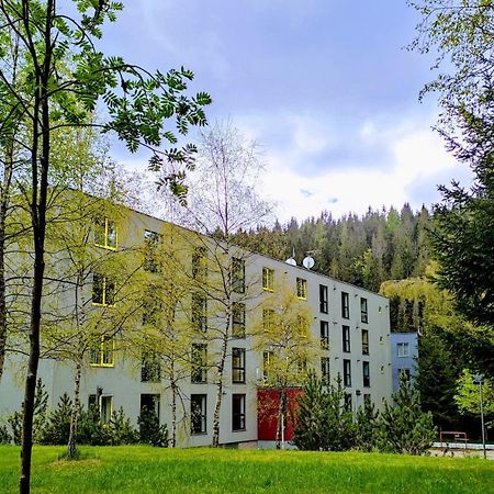 Plne Vybaveny Apartman Pod Mumlavskym Vodopadem, Zahrada S Ohnistem, Idealni Vychozi Bod Pro Turistiku, U Cesty Na Hrebeny, Kousek Do Centra, Absolutni Klid, Vybaveny I Pro Deti, Wellness A Fitko Naproti Harrachov Exterior foto