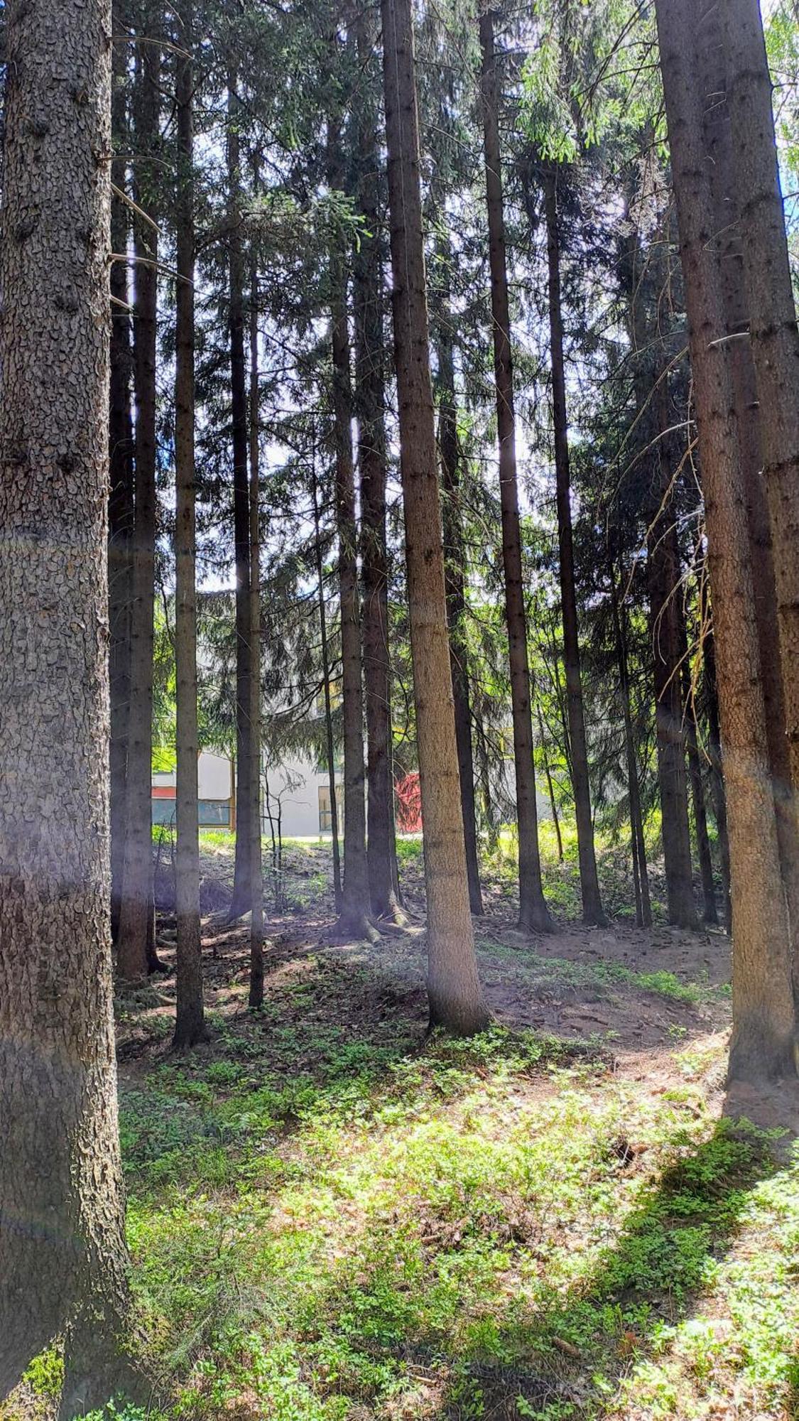 Plne Vybaveny Apartman Pod Mumlavskym Vodopadem, Zahrada S Ohnistem, Idealni Vychozi Bod Pro Turistiku, U Cesty Na Hrebeny, Kousek Do Centra, Absolutni Klid, Vybaveny I Pro Deti, Wellness A Fitko Naproti Harrachov Exterior foto